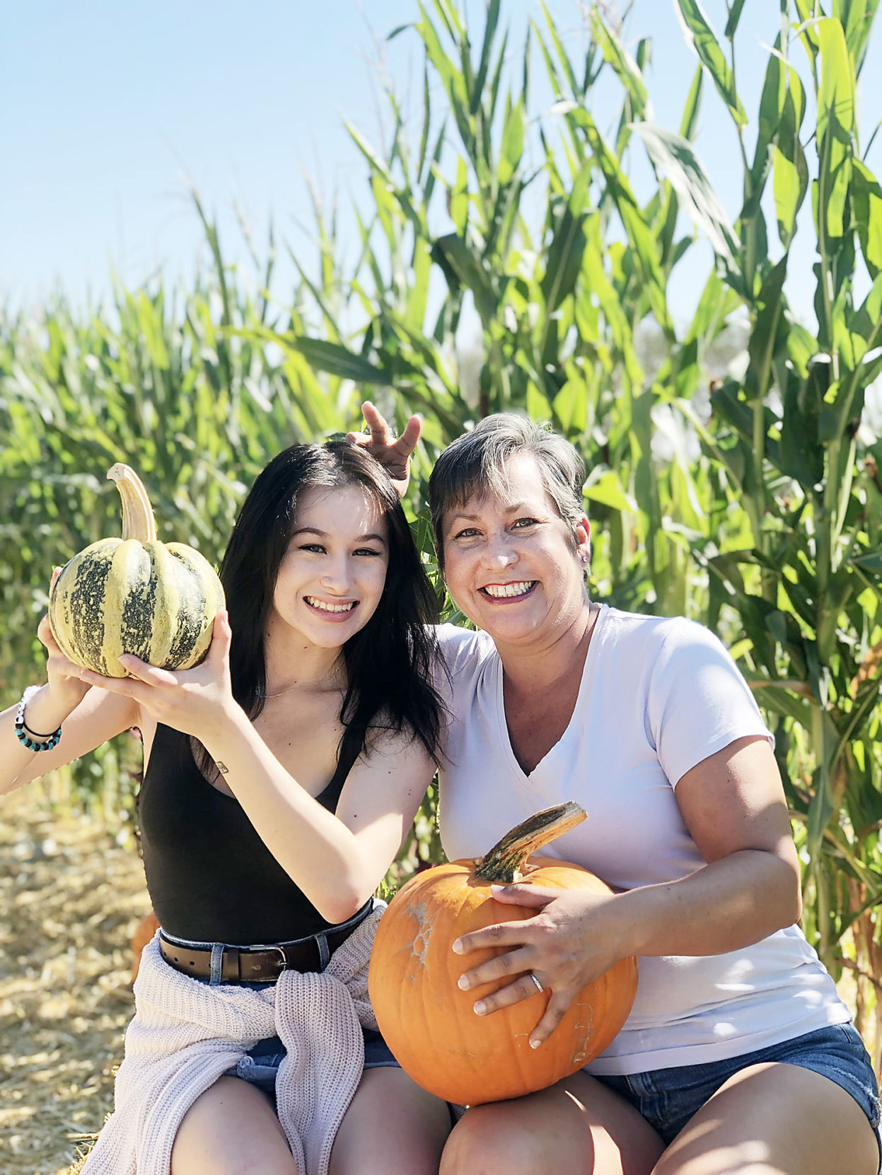 Pumpkin Patch